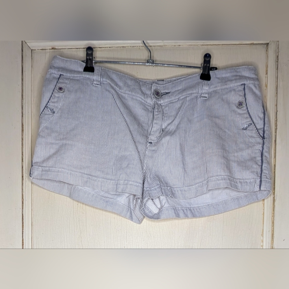 Rusty Gray and White Striped Shorts